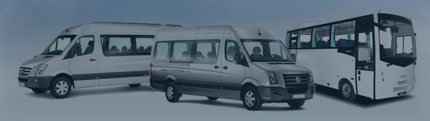 Organizasyon Hizmetleri